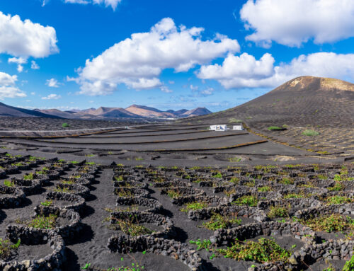 An island apart – the eco-tourism pioneer of Lanzarote